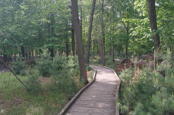 Schmeekle Path