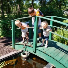 Tadpole Watching -- Angela Weller