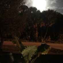Super Moon in Florida -- Shari Stroede