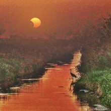 Kevin Stellman "Crane Eclipse Mask"