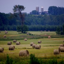 Amy Eichsteadt "Farewell Happy Fields"