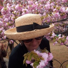 Dodi Saumer "Cherry Blossom Festival in Japan"