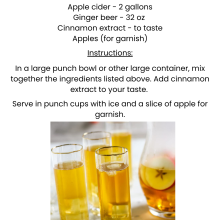Apple Ginger Fizz Punch