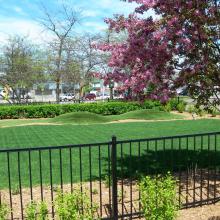 The WoodTrust / Bell Foundation Garden, an extension of the Youth Services Room. It is a Monarch Waystation.