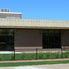 The WoodTrust / Bell Foundation Garden, an extension of the Youth Services Room. It is a Monarch Waystation.