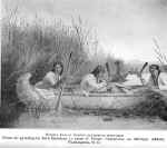 Ojibwa Indian Women Gathering Wild Rice